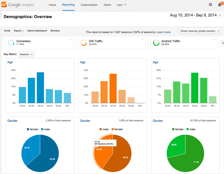 google analytics demographic report