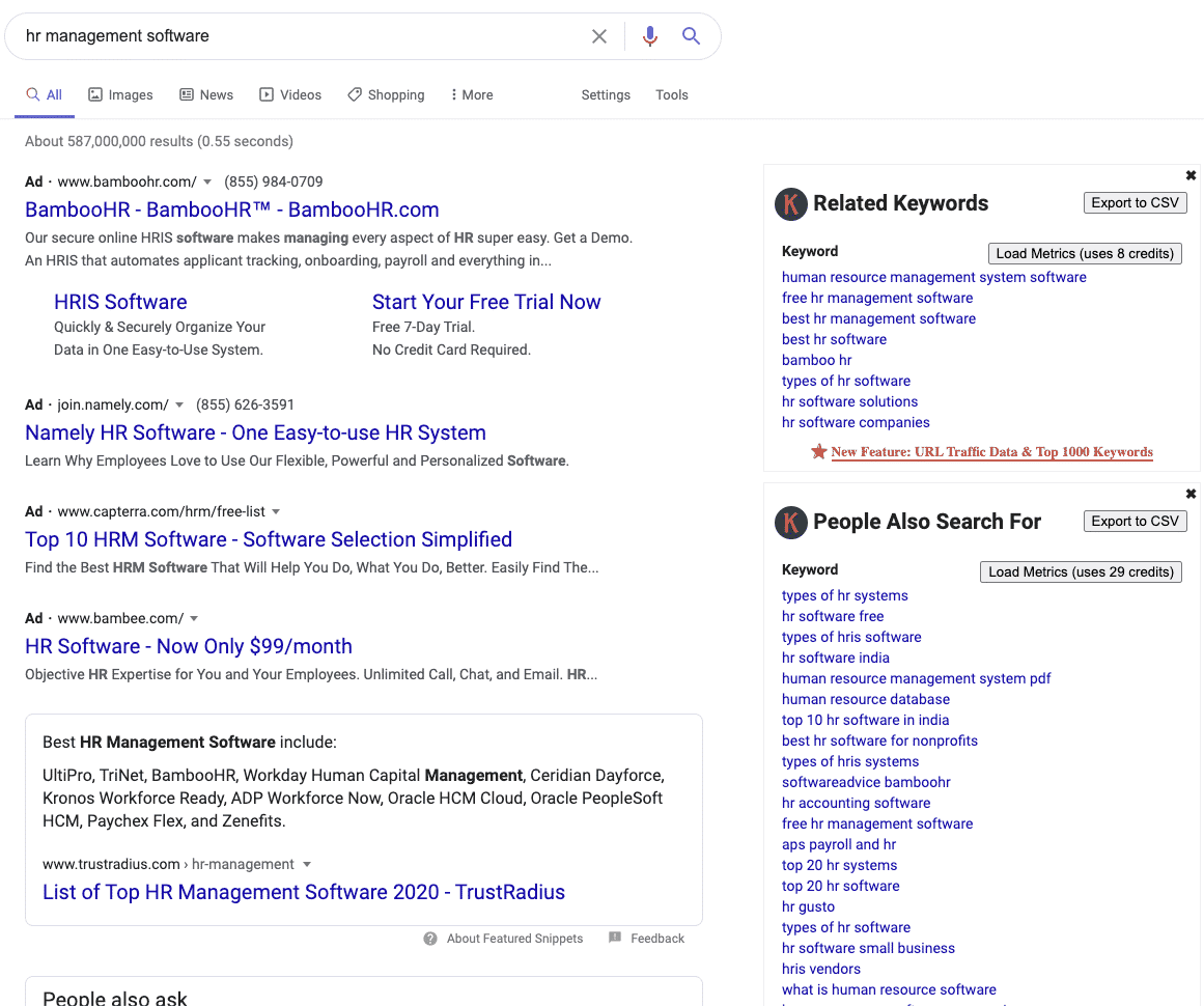 Google SERP with Keywords Everywhere