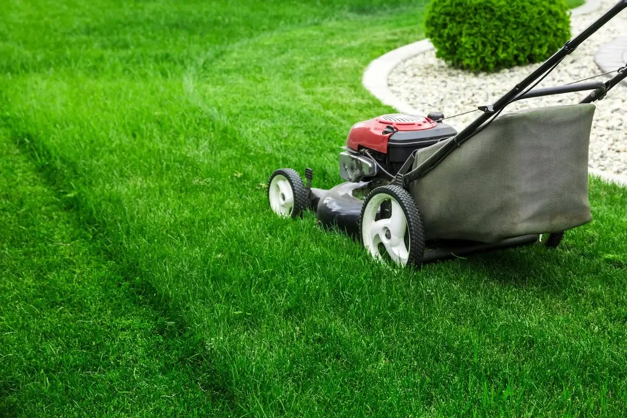 a lawnmower on fresh mowed grass